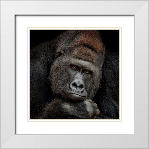 One Moment In Contact White Modern Wood Framed Art Print with Double Matting by Wenner-Braun, Antje