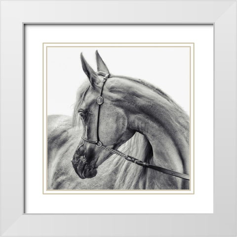 The Arabian Horse White Modern Wood Framed Art Print with Double Matting by Flour, Piet