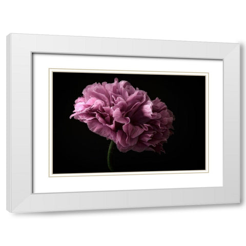 Poppy White Modern Wood Framed Art Print with Double Matting by Gronkjar, Lotte