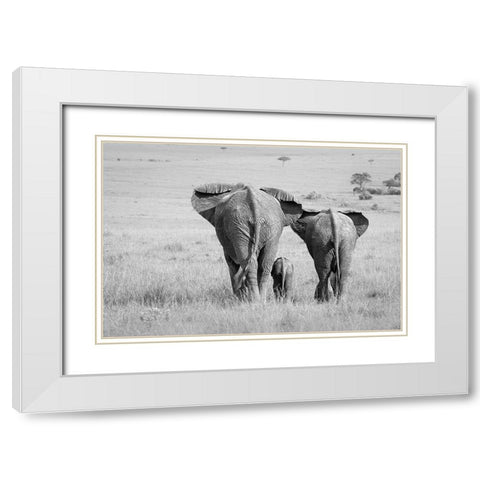 Three Butts! White Modern Wood Framed Art Print with Double Matting by Khataw, Ali