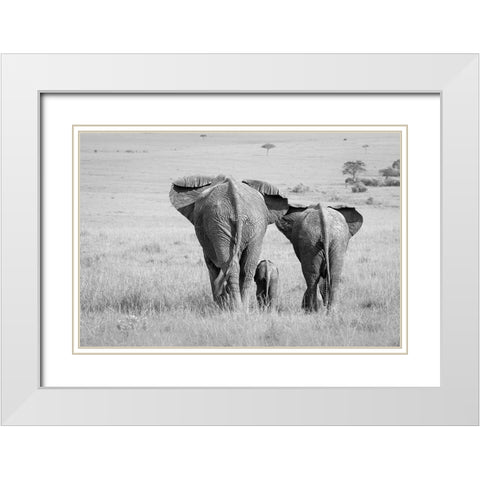 Three Butts! White Modern Wood Framed Art Print with Double Matting by Khataw, Ali