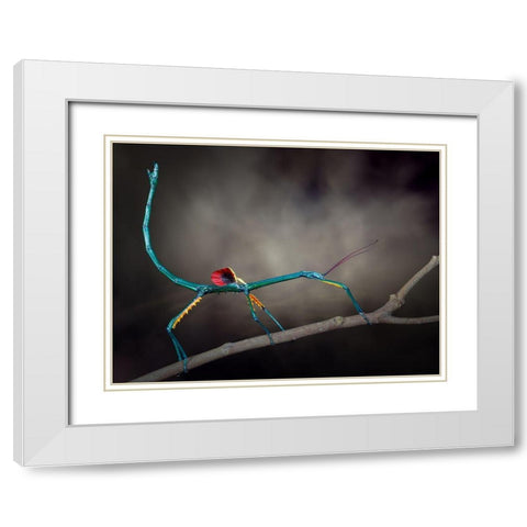 Threat Display White Modern Wood Framed Art Print with Double Matting by Hoffman, Jimmy