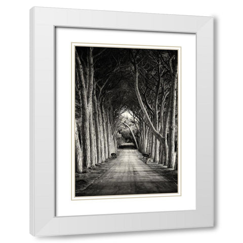 Untitled White Modern Wood Framed Art Print with Double Matting by Stimac, Sandra