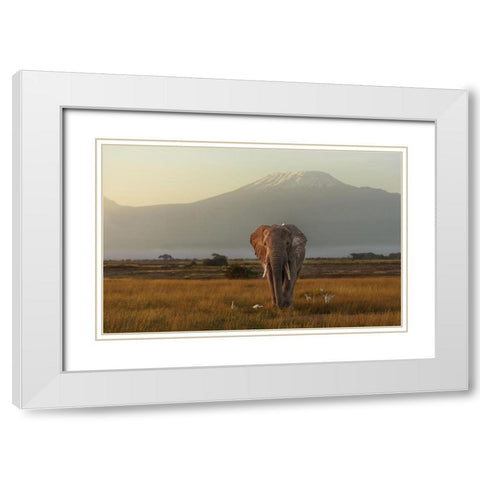 Under The Roof Of Africa White Modern Wood Framed Art Print with Double Matting by Mei, Massimo