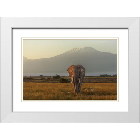 Under The Roof Of Africa White Modern Wood Framed Art Print with Double Matting by Mei, Massimo