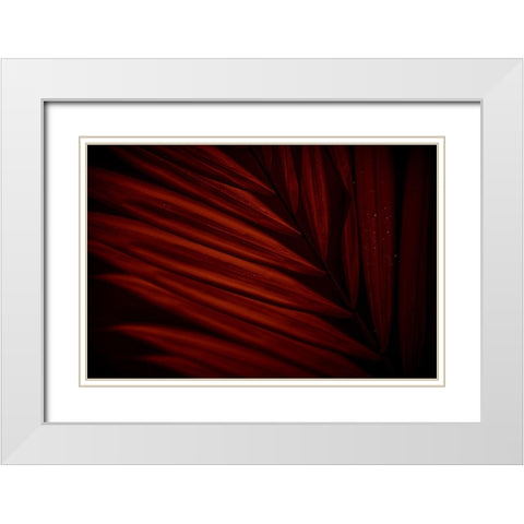 Sanguine Striations White Modern Wood Framed Art Print with Double Matting by Robboz, El