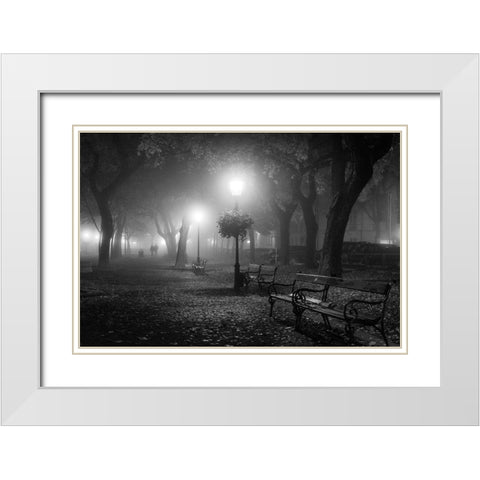 Foggy Day White Modern Wood Framed Art Print with Double Matting by Nikoloulis, Ilias