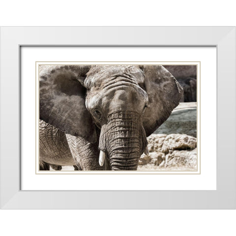 The Boss White Modern Wood Framed Art Print with Double Matting by Araujo, Nuno