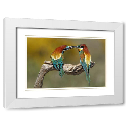 True Love White Modern Wood Framed Art Print with Double Matting by Merino, Nicolas