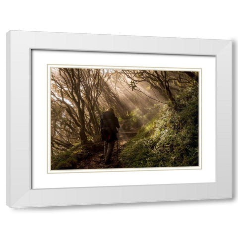 Through The Enchanted Forest White Modern Wood Framed Art Print with Double Matting by Wrobel, Karsten