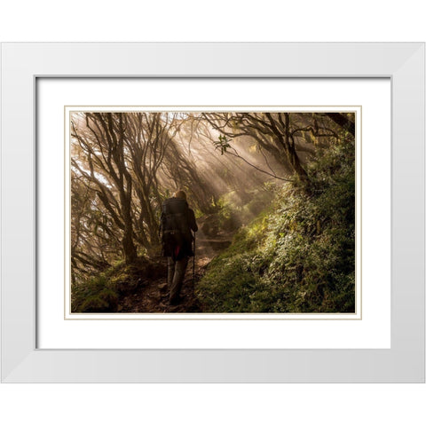 Through The Enchanted Forest White Modern Wood Framed Art Print with Double Matting by Wrobel, Karsten