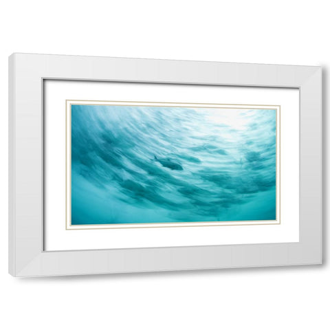 One Of The Pack White Modern Wood Framed Art Print with Double Matting by Narchuk, Andrey