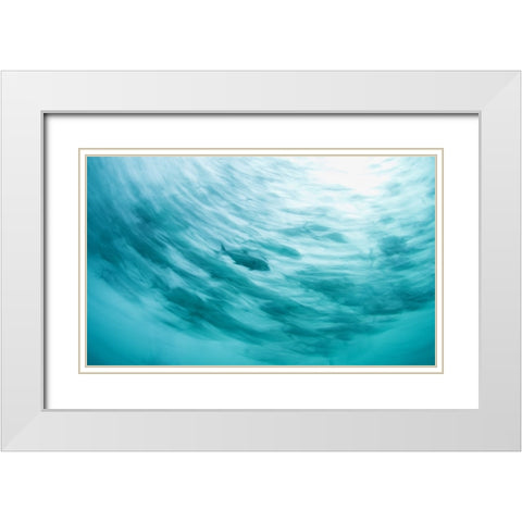 One Of The Pack White Modern Wood Framed Art Print with Double Matting by Narchuk, Andrey