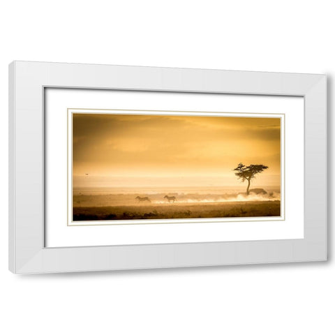 Training, Because The Lions Await. White Modern Wood Framed Art Print with Double Matting by C. Sink, Jeffrey