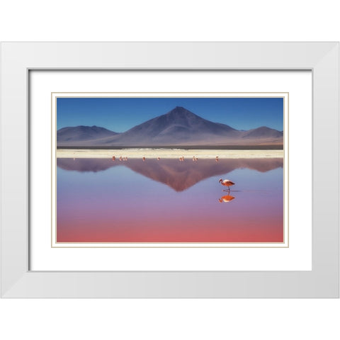 Pink Morning White Modern Wood Framed Art Print with Double Matting by Chernilova, Margarita