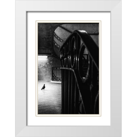 Big Bird In A Small Cage White Modern Wood Framed Art Print with Double Matting by Mexia, Laura