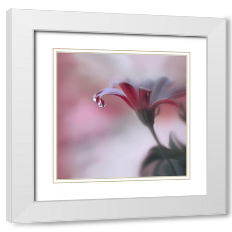 Invisible Touch... White Modern Wood Framed Art Print with Double Matting by Nan, Juliana