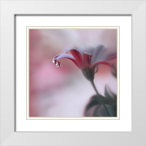 Invisible Touch... White Modern Wood Framed Art Print with Double Matting by Nan, Juliana