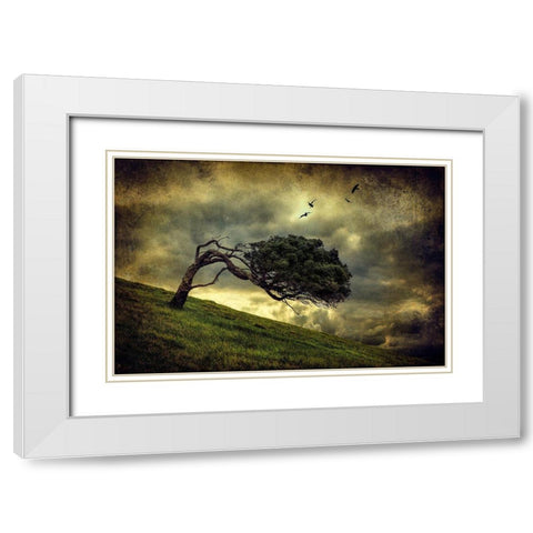 Winds Of Change White Modern Wood Framed Art Print with Double Matting by Elgar, Peter
