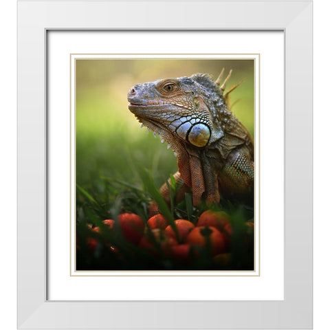 Tomatoes Time White Modern Wood Framed Art Print with Double Matting by Bhs, Fahmi