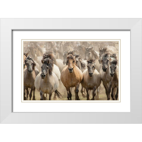 Gallop White Modern Wood Framed Art Print with Double Matting by Uhlig, Dieter