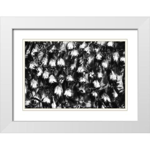 Great Escape White Modern Wood Framed Art Print with Double Matting by Alnaser, Mohammed