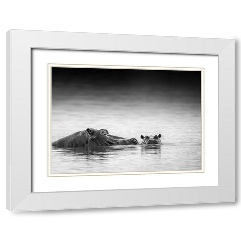 Eye Level White Modern Wood Framed Art Print with Double Matting by Marx, Jaco