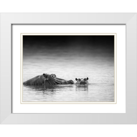 Eye Level White Modern Wood Framed Art Print with Double Matting by Marx, Jaco