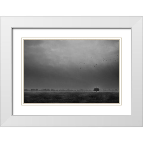 Solitaire White Modern Wood Framed Art Print with Double Matting by Hageman, Michiel