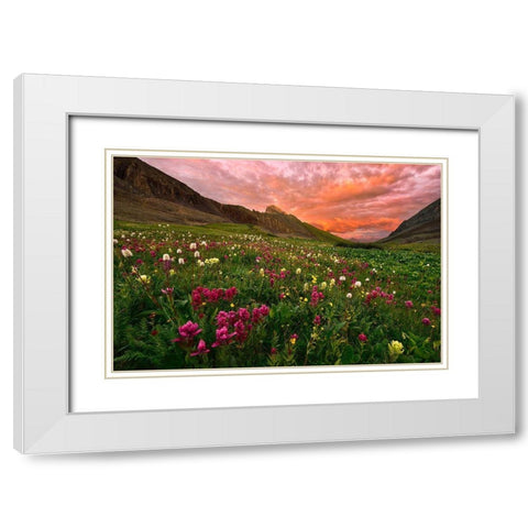 Carpet Of Wildflowers White Modern Wood Framed Art Print with Double Matting by Xu, Mei