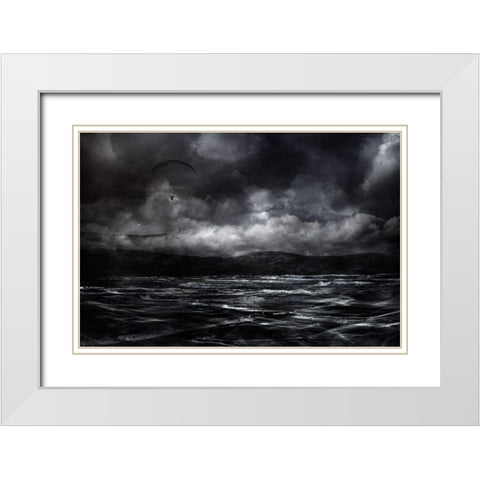 Free As A Bird White Modern Wood Framed Art Print with Double Matting by Marthinussen, Willy
