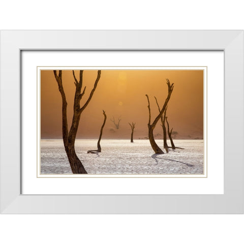 Ascension White Modern Wood Framed Art Print with Double Matting by Fegari