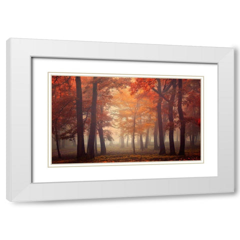 Feel White Modern Wood Framed Art Print with Double Matting by Neer, Ildiko