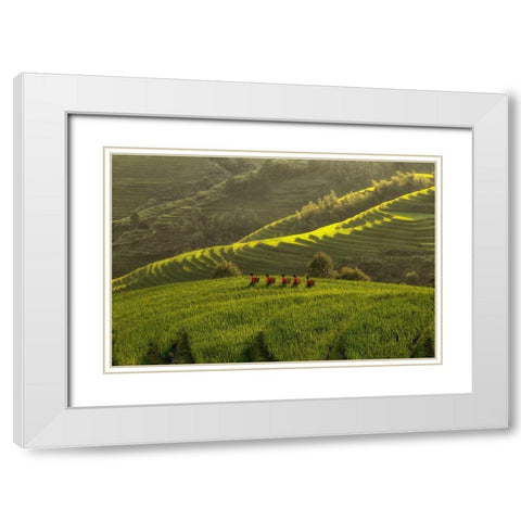 Five Ladies In Rice Fields White Modern Wood Framed Art Print with Double Matting by Witjes, Max