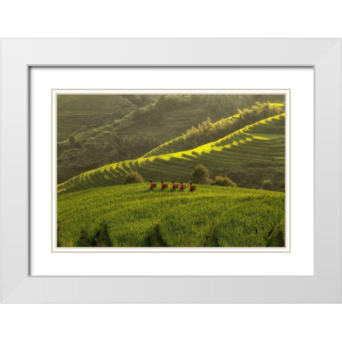 Five Ladies In Rice Fields White Modern Wood Framed Art Print with Double Matting by Witjes, Max