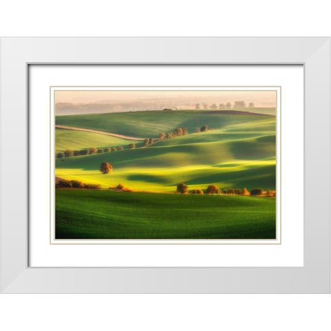 Green Fields White Modern Wood Framed Art Print with Double Matting by Krol, Piotr