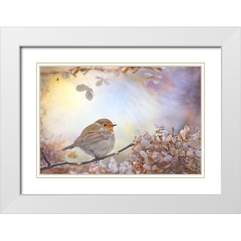 Robin On Dreams White Modern Wood Framed Art Print with Double Matting by Teuni