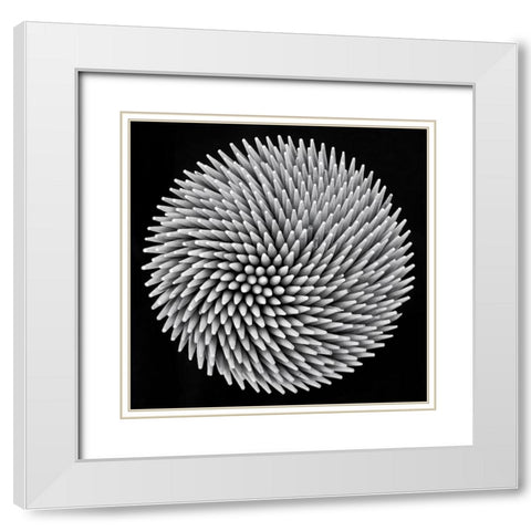 Hypnosis White Modern Wood Framed Art Print with Double Matting by Toniolo, Giorgio