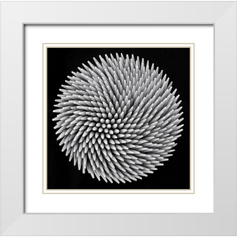 Hypnosis White Modern Wood Framed Art Print with Double Matting by Toniolo, Giorgio