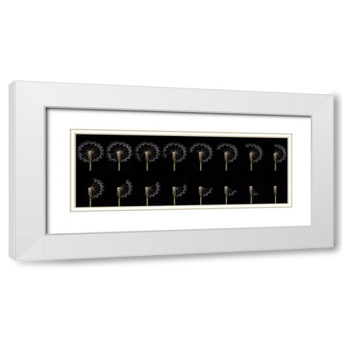Countdown White Modern Wood Framed Art Print with Double Matting by Lionse, Art