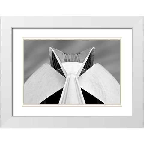 Calatrava White Modern Wood Framed Art Print with Double Matting by Van Zaane, Alida