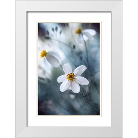 Cosmos White Modern Wood Framed Art Print with Double Matting by Disher, Mandy