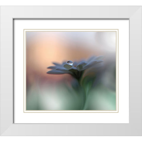 Eyes Of The Light White Modern Wood Framed Art Print with Double Matting by Nan, Juliana