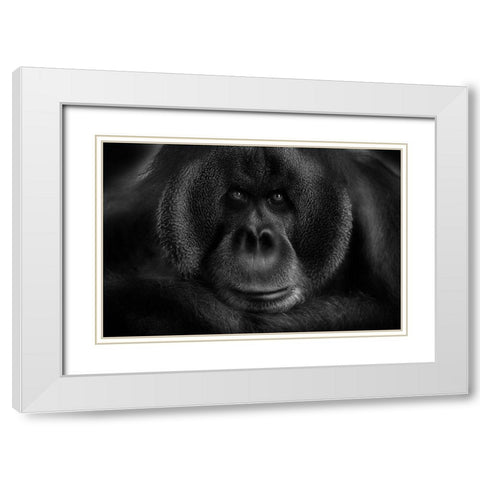 Maurice White Modern Wood Framed Art Print with Double Matting by Wildkay