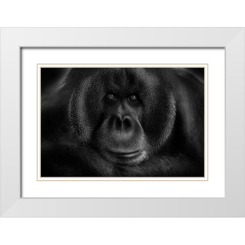 Maurice White Modern Wood Framed Art Print with Double Matting by Wildkay