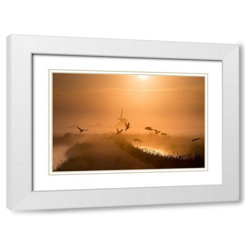Sunrise Flight White Modern Wood Framed Art Print with Double Matting by Klaverdijk, Harm