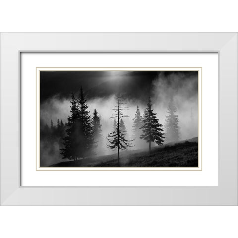 Misty Forest White Modern Wood Framed Art Print with Double Matting by Oncete, Julien
