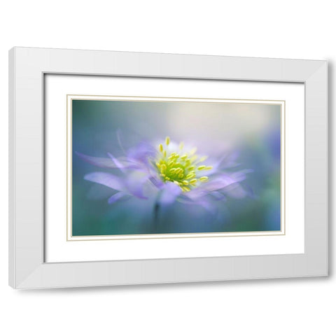 Windflower White Modern Wood Framed Art Print with Double Matting by Parker, Jacky