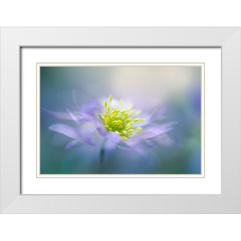 Windflower White Modern Wood Framed Art Print with Double Matting by Parker, Jacky