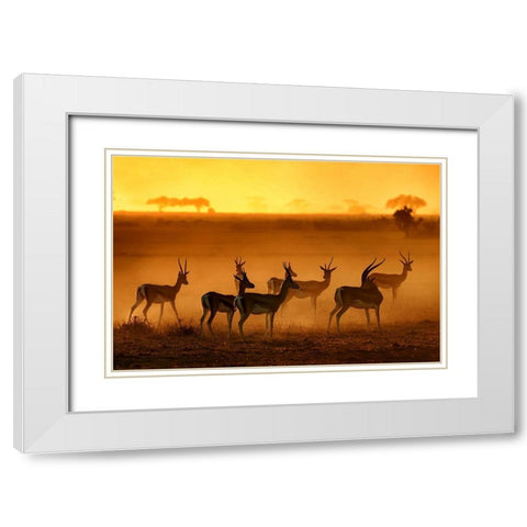 Golden Light White Modern Wood Framed Art Print with Double Matting by Guillemot, Mathilde